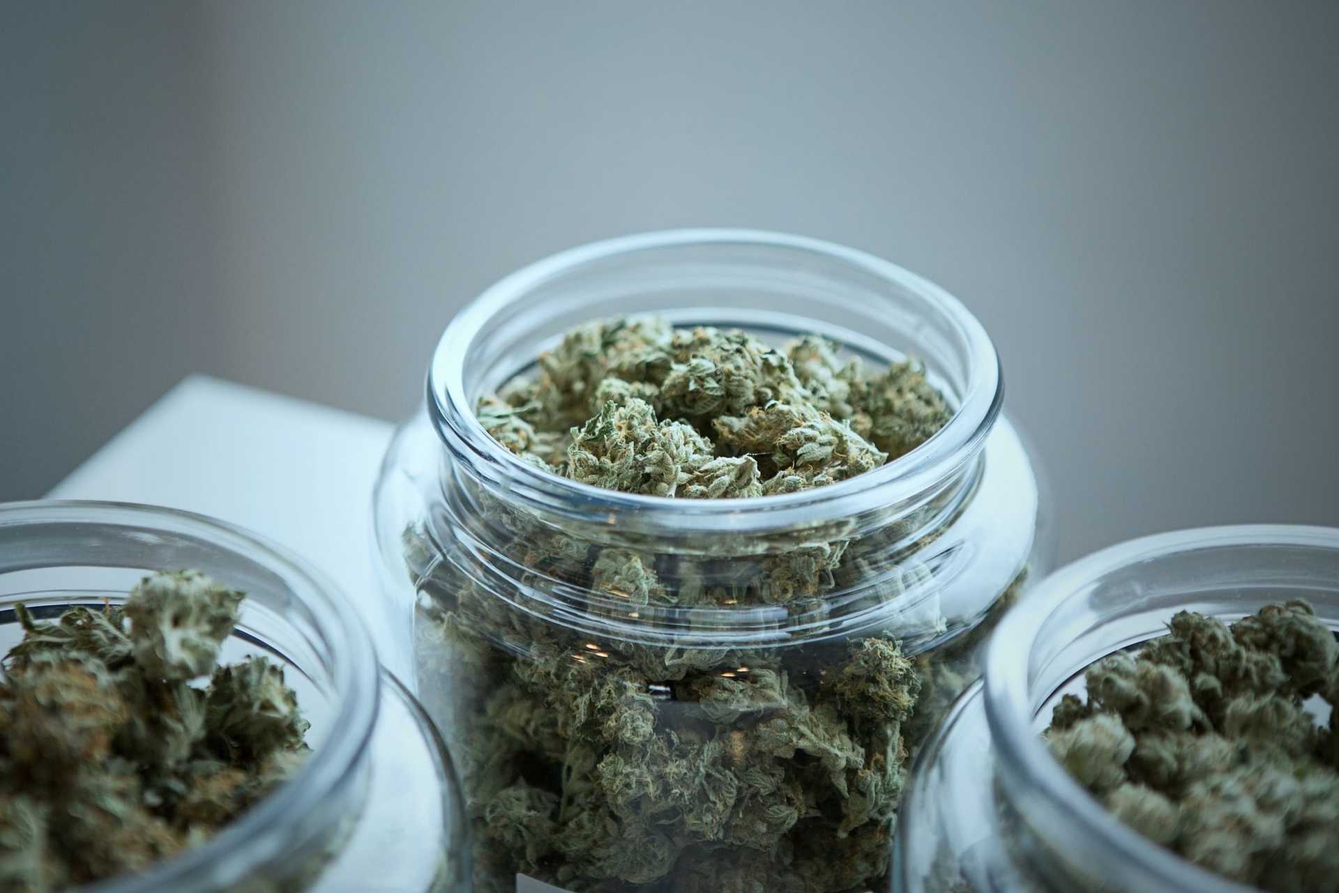 weedify cannabis dispensary saint paul