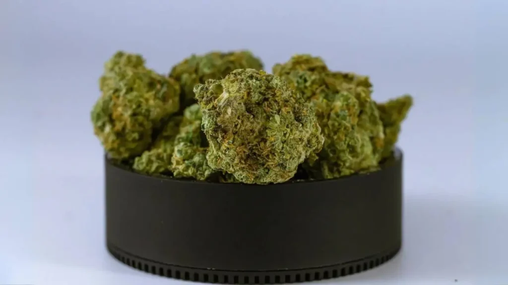 minneapolis-cannabis-dispensary