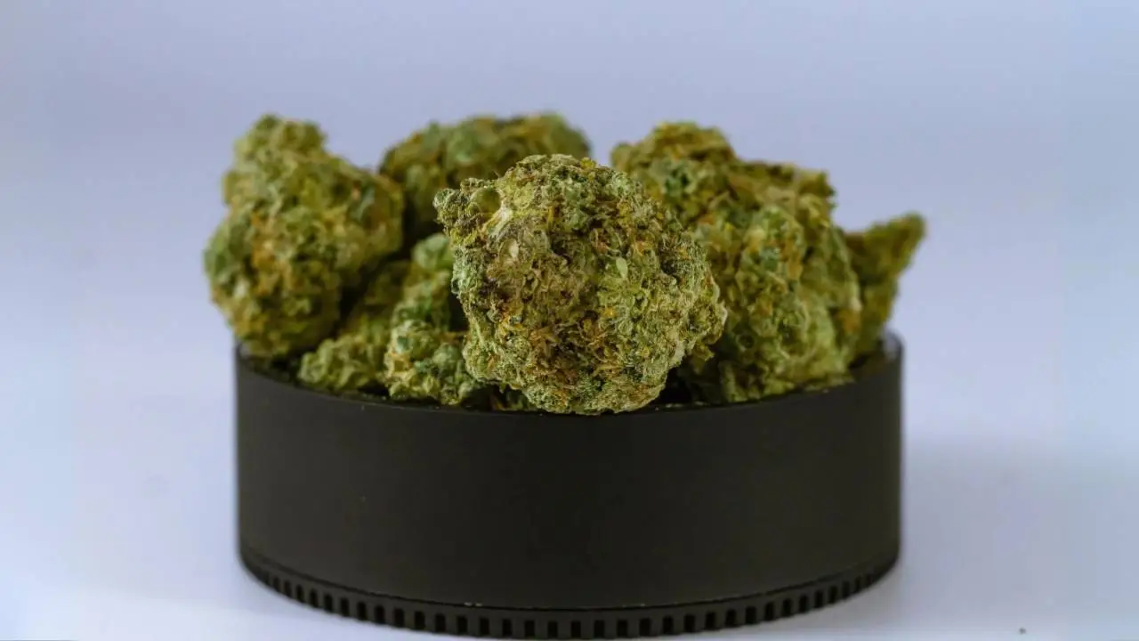 minneapolis-cannabis-dispensary