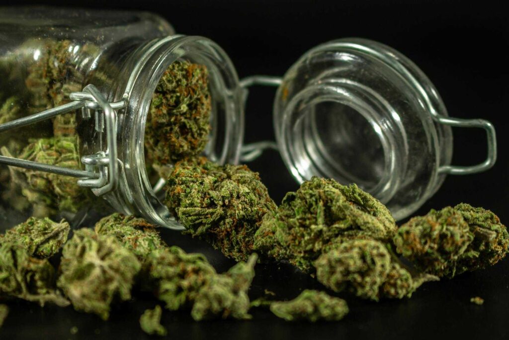 mn-dispensary