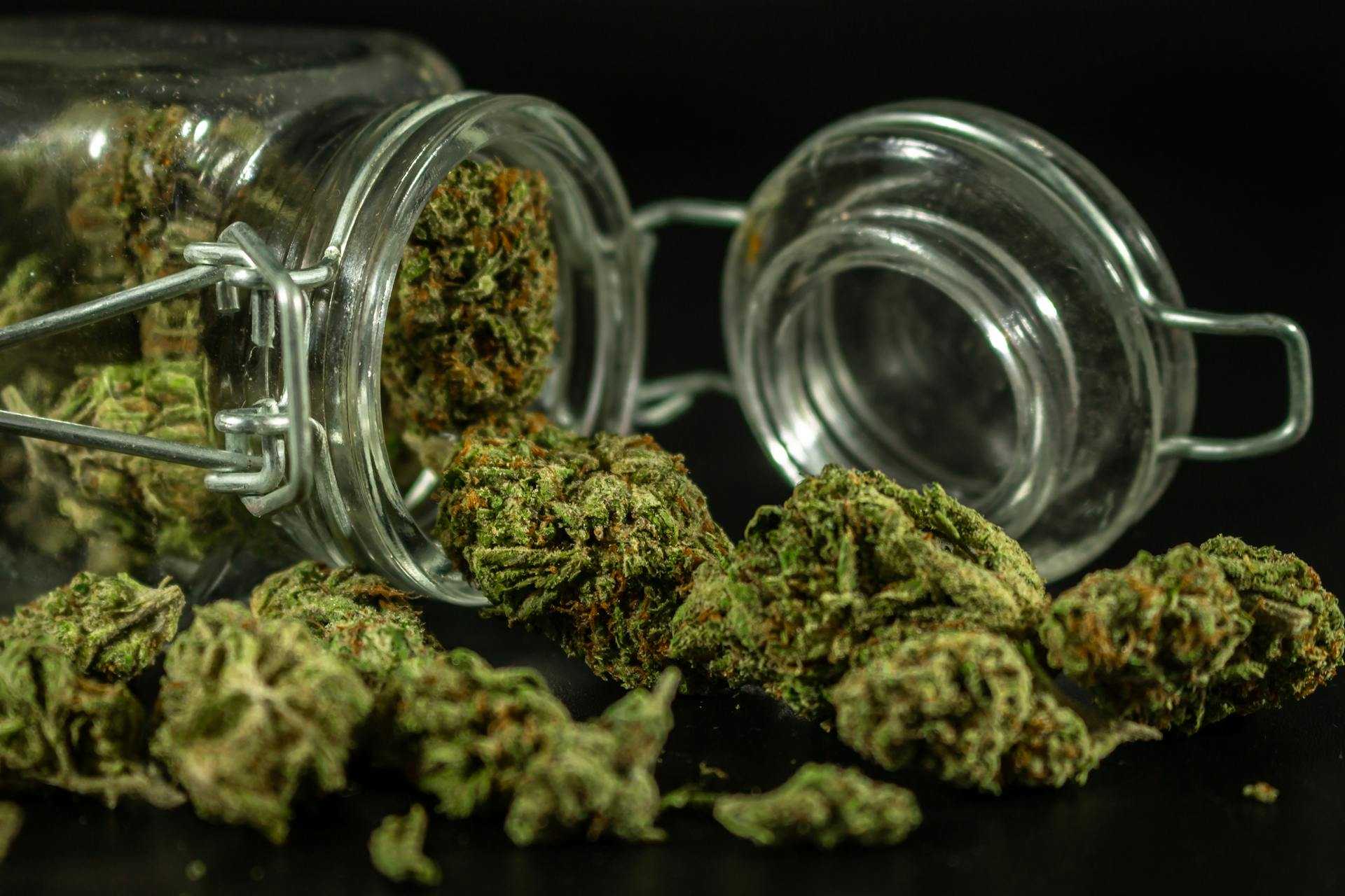 mn-dispensary