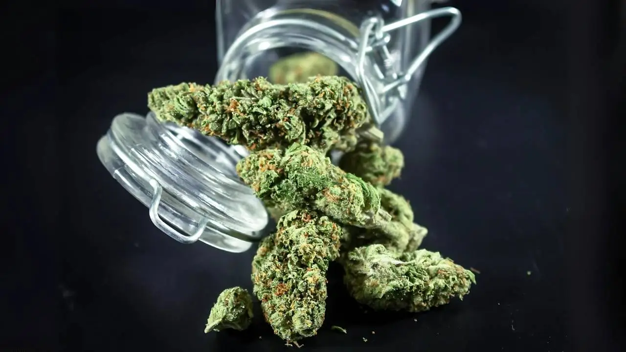 recreational-dispensary-near-me