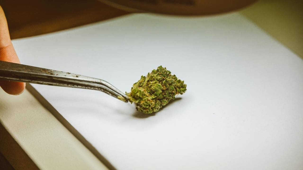 st-paul-dispensary