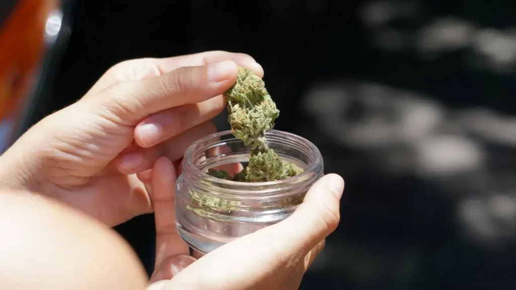 marijuana-dispensaries-near-maryland