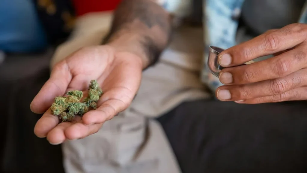 pot-shops-near-me