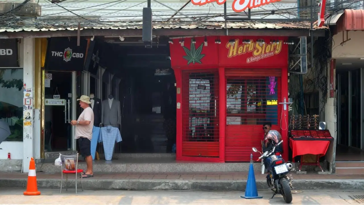 thc-store-near-me-open-now