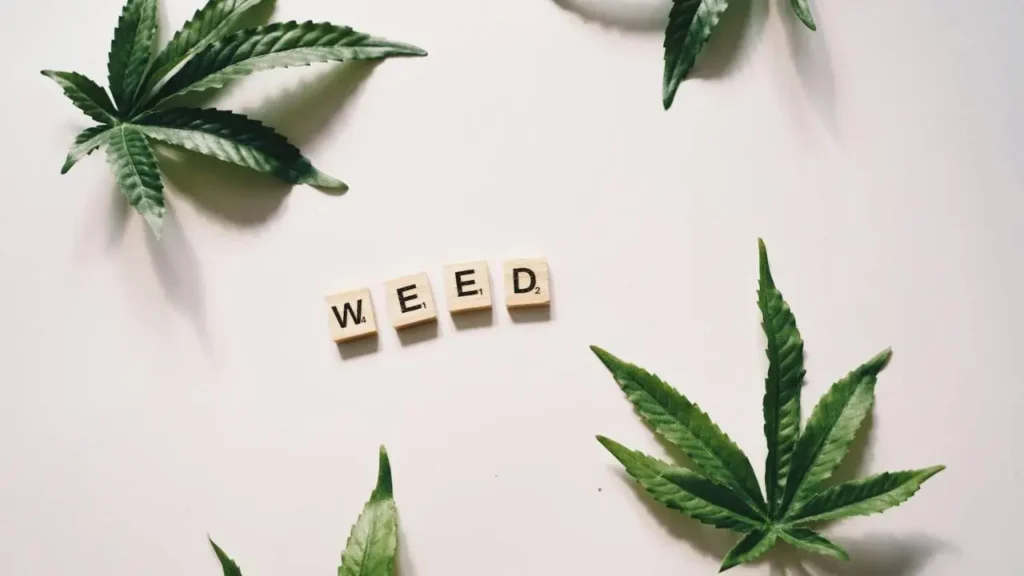 weed-shop-near-me-open-now