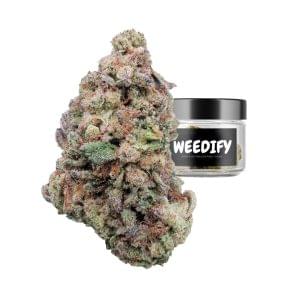Glitter Bomb strain - weedify cannabis dispesnary