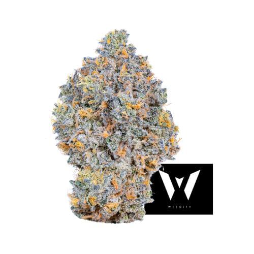 cannabis dispensary