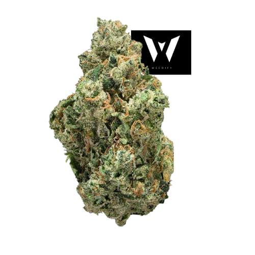 cannabis dispensary