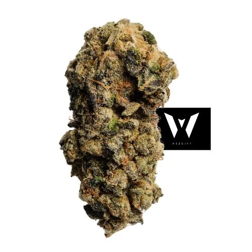 Weedify offers premium cannabis products for delivery in St. Paul