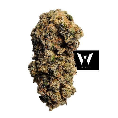 Weedify offers premium cannabis products for delivery in St. Paul