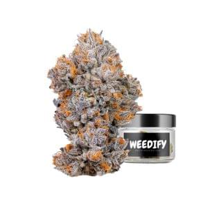 biscotti weed strain