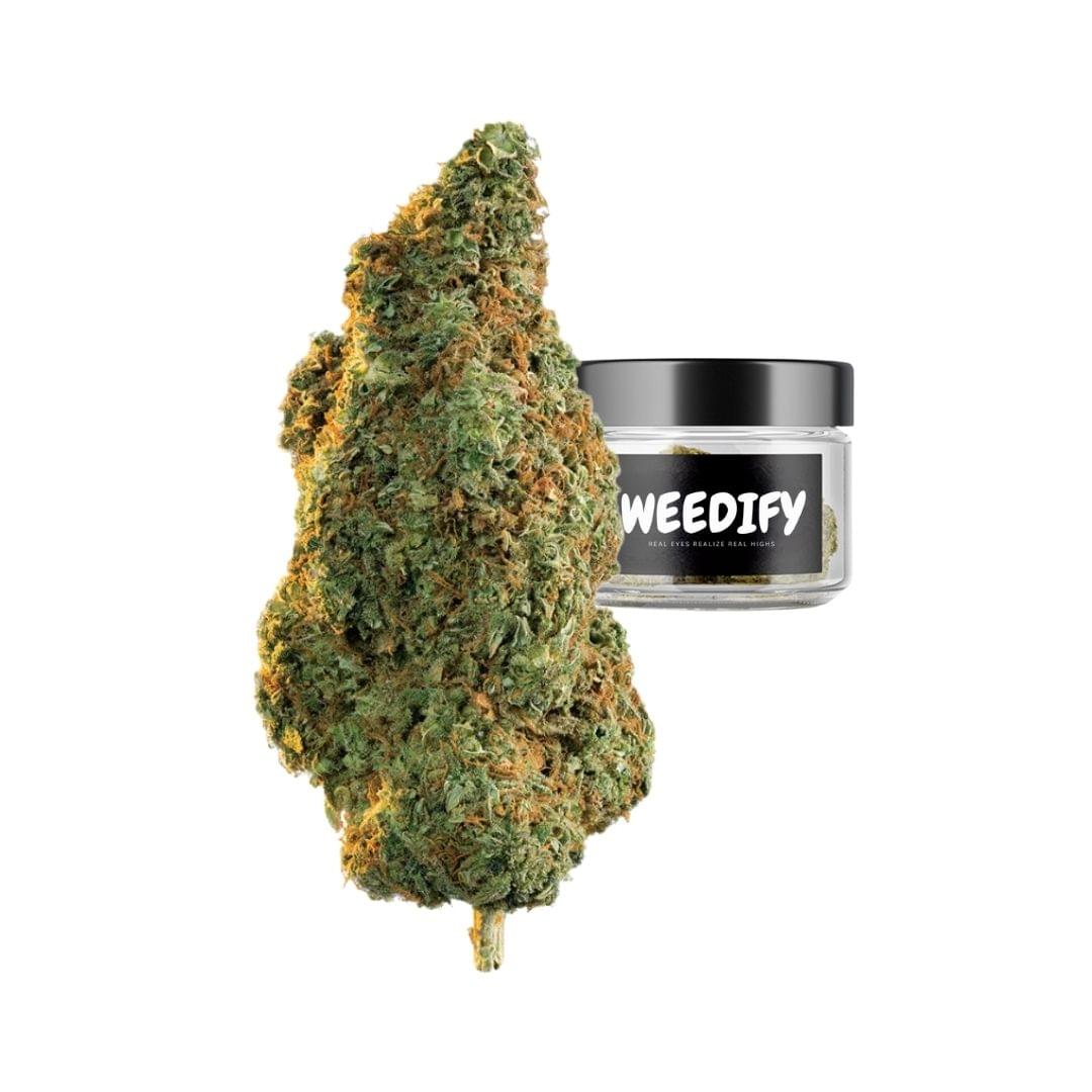 Gorilla Glue Strain – Hybrid Weed Minnesota | Potent, Euphoric, Relaxing