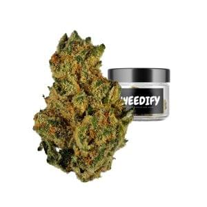 permanent marker strain