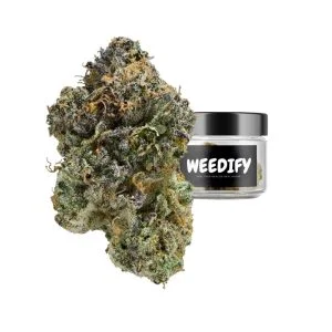 shipwreck strain