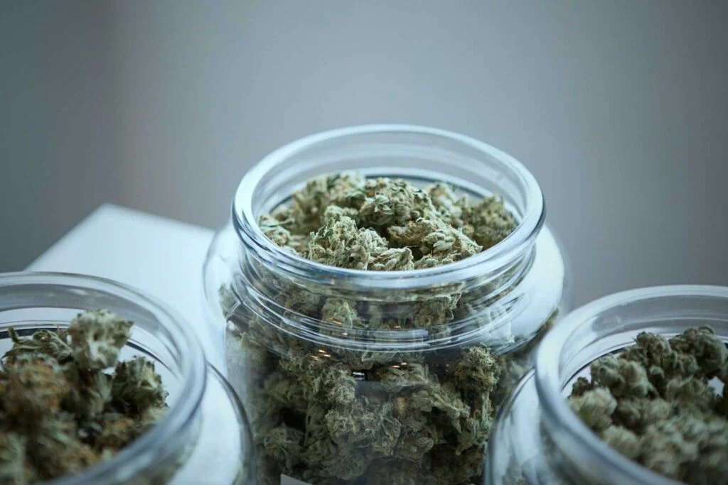 weedify cannabis dispensary saint paul