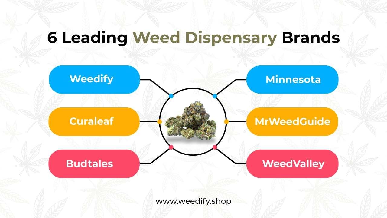 weed-dispensary-brand-infographics
