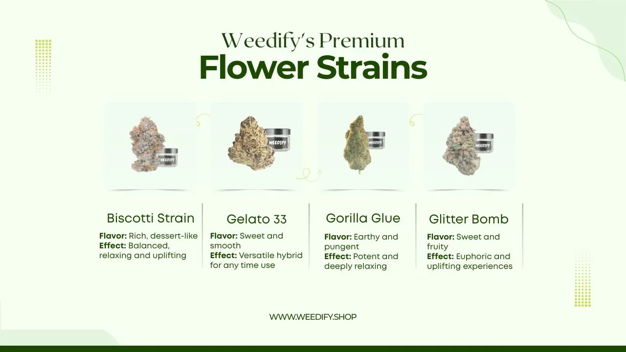 dispensary-near-st-paul-mn